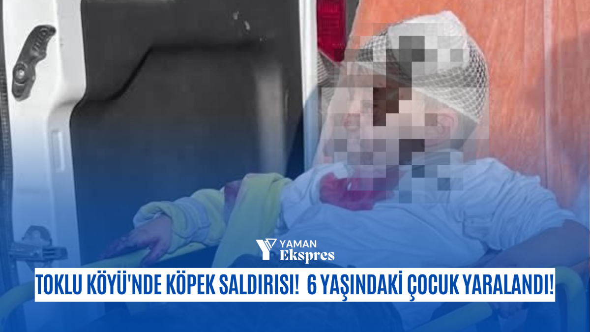 Toklu Köyü'nde Köpek Saldırısı! 6 Yaşındaki Çocuk Yaralandı